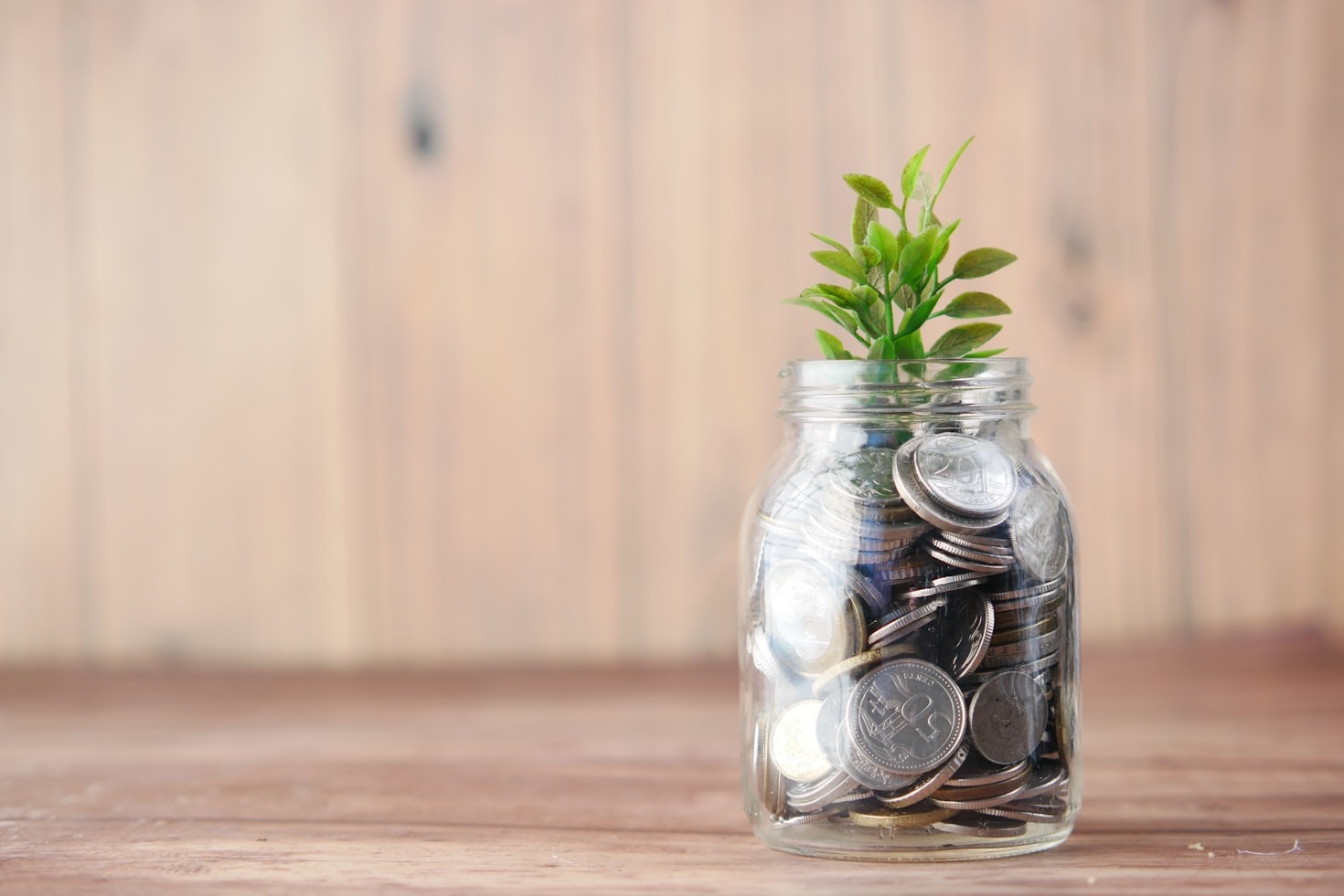 Step-by-Step Guide to Visualizing Prosperity